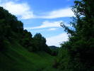 DSCF0595