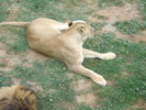 Picture 044