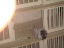 DSC00871