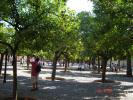 63 Cordoba