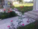 Fotografii-0063