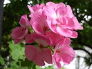 P1010392