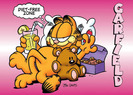 lgpp30229+diet-free-zone-garfield-poster