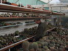 DSC01003