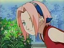 naruto_sakura0102