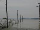 inundatii (59)