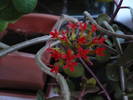 Picture 023