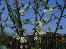 2009_04120085