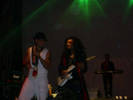 concert (24)