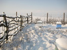 IMG_0033 (3)