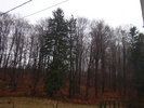 DSC00941