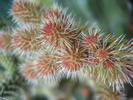 DSC01902
