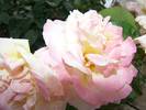 DSC01840