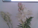 Imag051