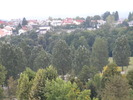 DSCN0474
