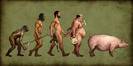 Evolutia Barbatilor