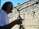 DSCN7207