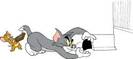 Tom si Jerry