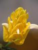 DSCF1681