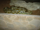 Picture 026