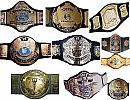 WWFBELTS