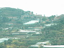 DSCN2472