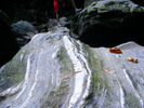 DSCF5085