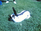 Copy of 28052006(051)