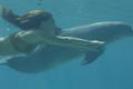 Emma-with-a-Dolphin-h2o-just-add-water-702482_120_80