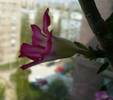 P1100517
