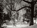 Christmas Wallpapers (279)