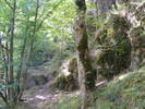 DSCF0399