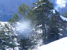DSCF6949