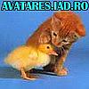 animale_30