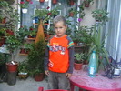 Picture 066