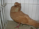 SANY0074