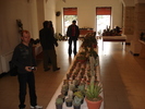 DSC04970