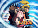 naruto-shippuuden-small