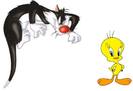 tweety2