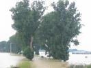 inundatii (66)