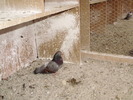 P9061360