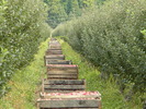 DSCN3201