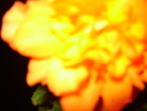 DSC02679