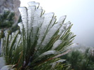 DSC04619
