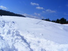 DSCF6945