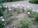 PICT0153(1)