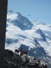 IMG_1464