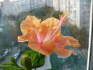 P1140932