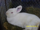 Picture 072