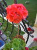 Picture 040
